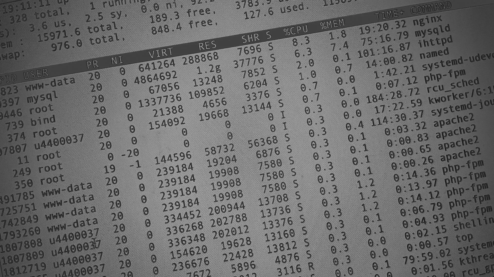 Настройка сервера в Геленджике