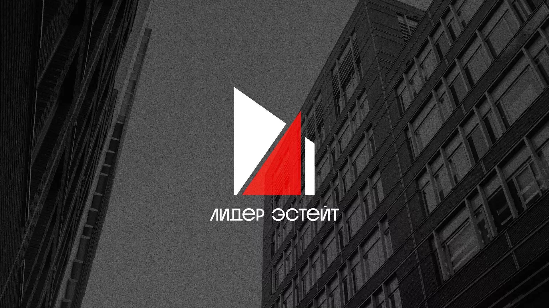 Сделали логотип для агентства недвижимости «Лидер Эстейт» в Геленджике